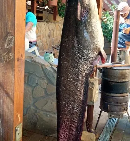 Bobrik - Liptovska Mara