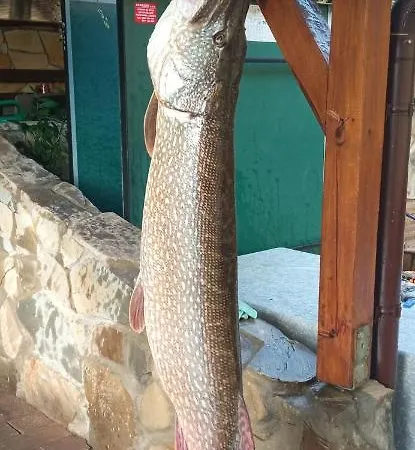 Bobrik - Liptovska Mara Apartment *